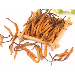 Đông Trùng Hạ Thảo Tự Nhiên Hay Nhân Tạo Đâu Mới Là Tốt Nhất?